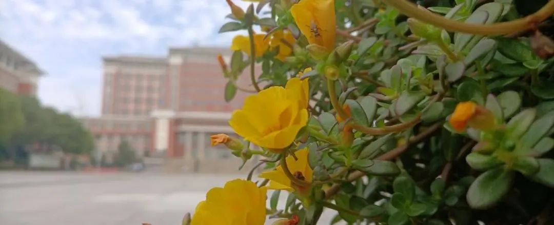 “守护青春 静待花开”｜我校开展青春期生理卫生健康知识讲座