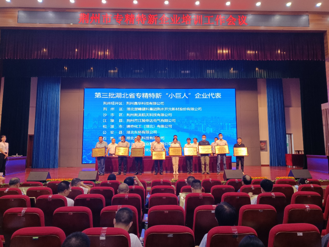 全市专精特新企业培训工作会议在我校召开