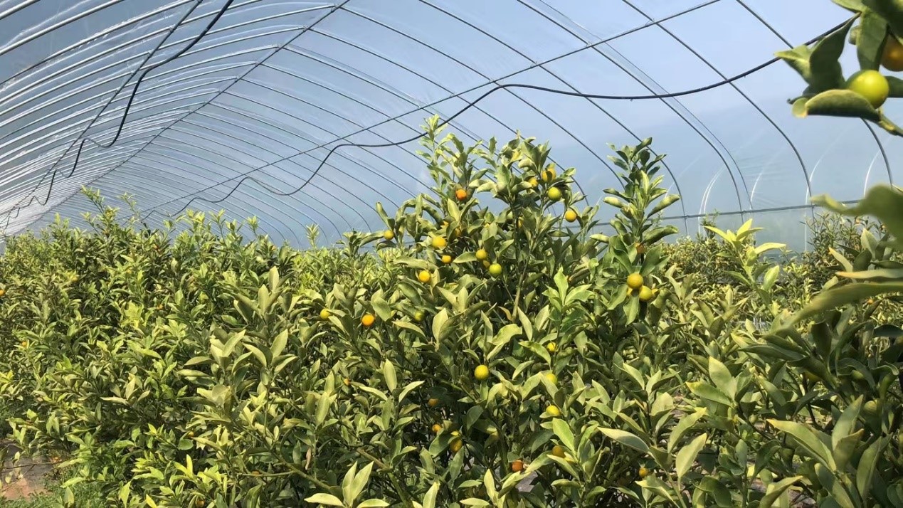 荆州市机械电子工业学校举行“三八妇女节”主题游园活动