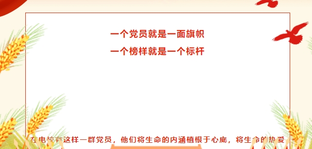 【党员风采】詹慧敏：师心如光，微以致远