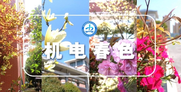 大美机电丨不负光阴不负春，解锁校园里的春色
