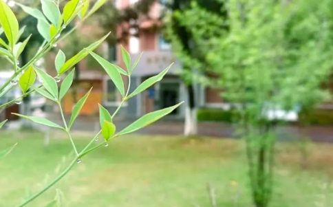 @广大家长：请收好这份五一劳动节放假通知及假期安全教育告知书